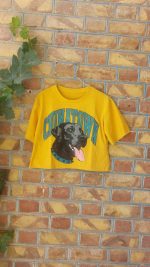 کراپ زرد عکس دار